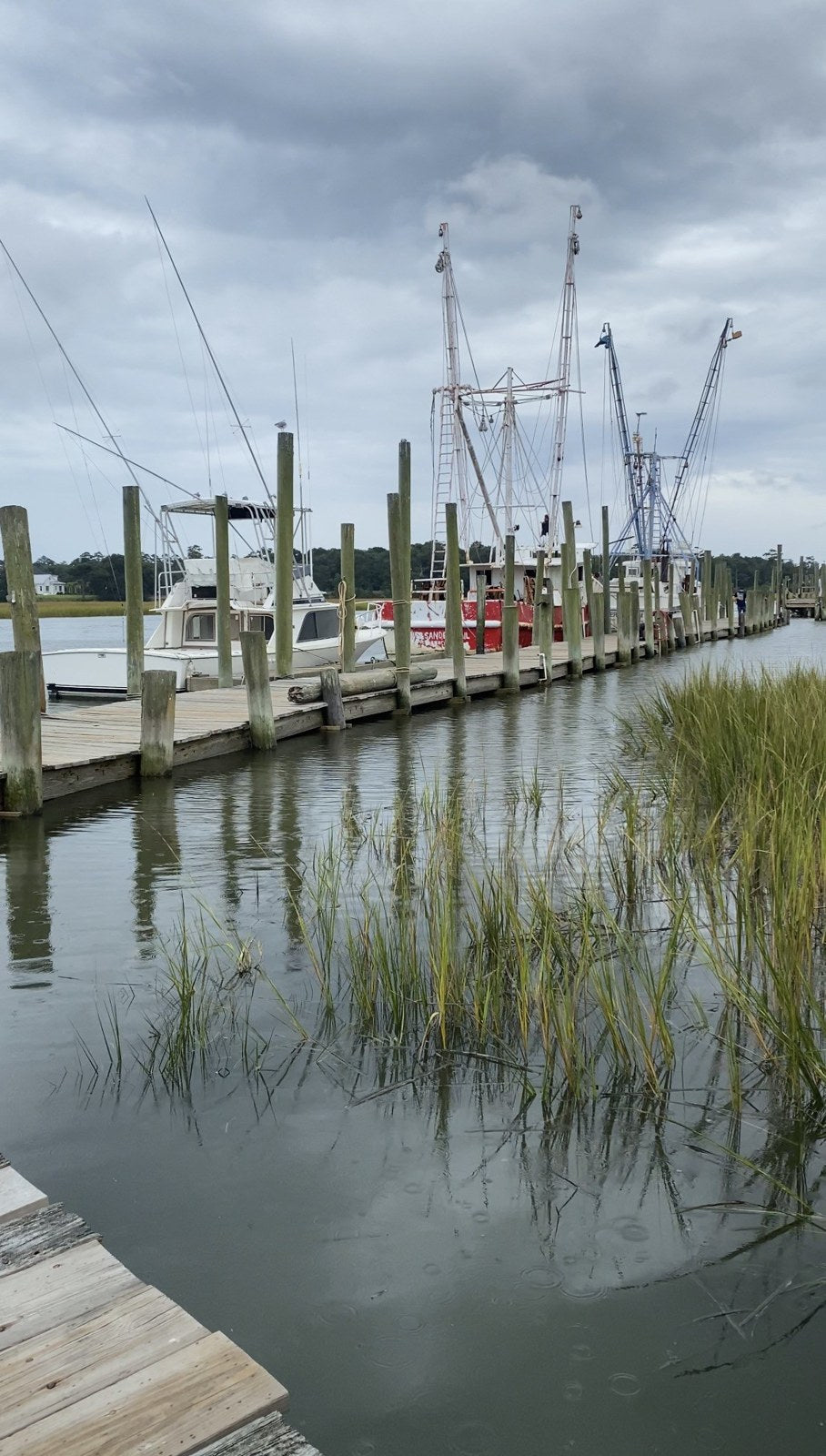 Shrimp boats tied along a weathered dock with marsh grass in the foreground