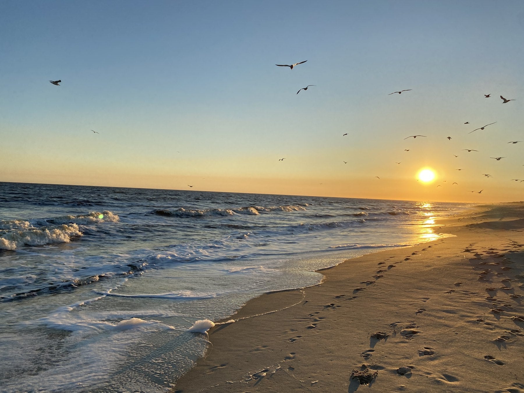 Sun low over the surf with gulls above the shoreline